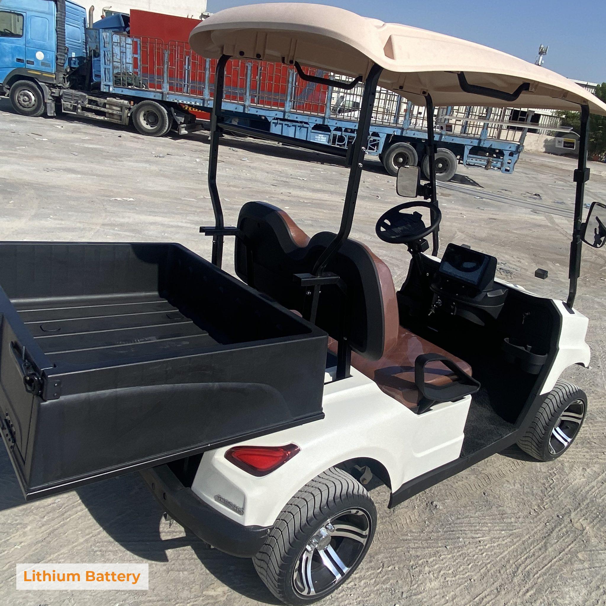2 Passengers Golf Cart